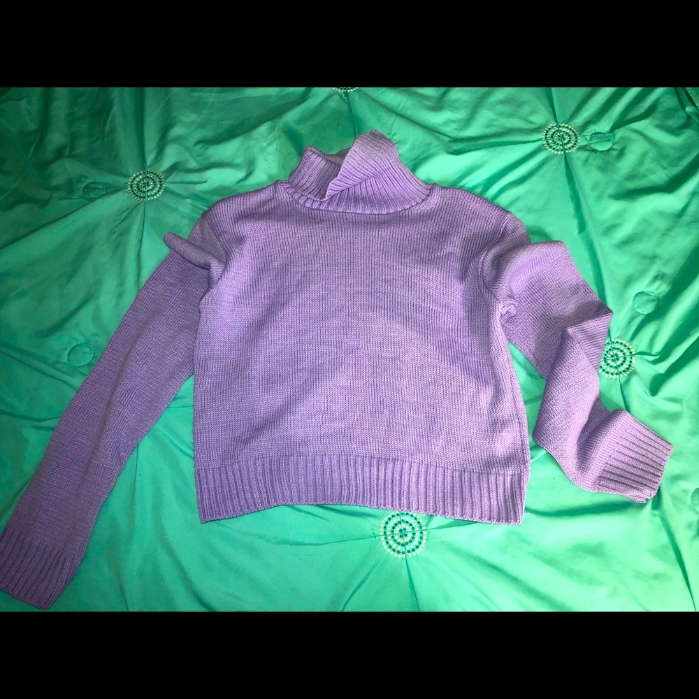 Turtle Neck Sweater Top